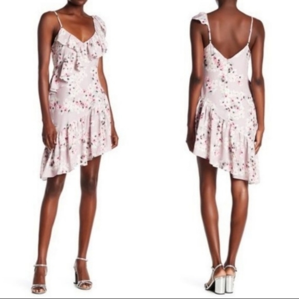 Parker NWT Lyla Mini Dress blush pink floral ruffle asymmetric pastel new spring